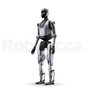 Ubtech Walker Tienkung Voice & Vision