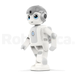 UBTech Alpha Mini Yapay Zekalı Kodlanabilir İnsansı Robot