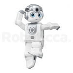 UBTech Alpha Mini 2 Yapay Zekalı Kodlanabilir İnsansı Robot